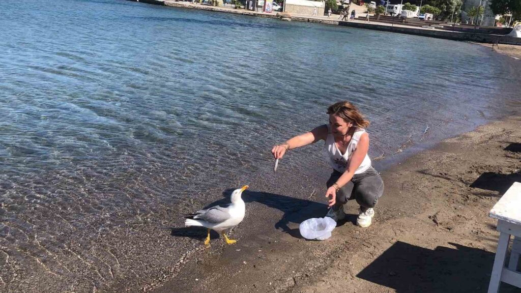 Sevi̇mli̇ Martı Kumluk Plajının Maskotu Oldu