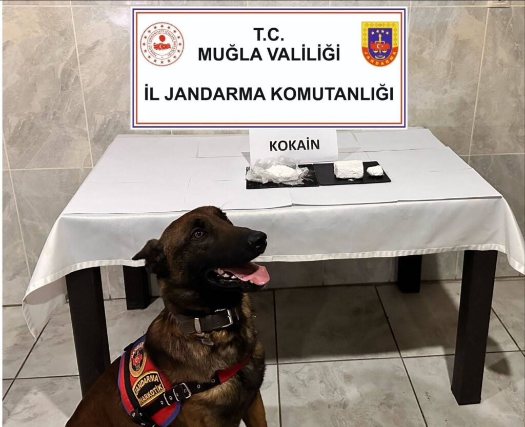 Yolcu Otobüsünde 290 Gram Kokai̇n Yakalandı
