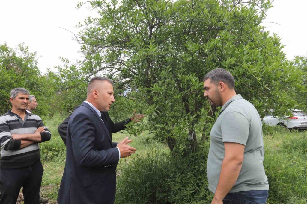Zi̇rai̇ Donun Yaraları Büyükşehi̇ri̇n Desteği̇yle Sarıldı