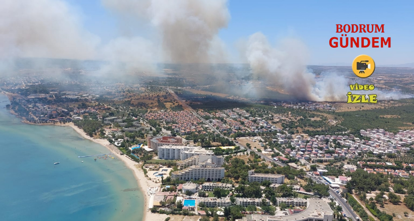 Didim’de Makilik Alanda Yangın Çıktı