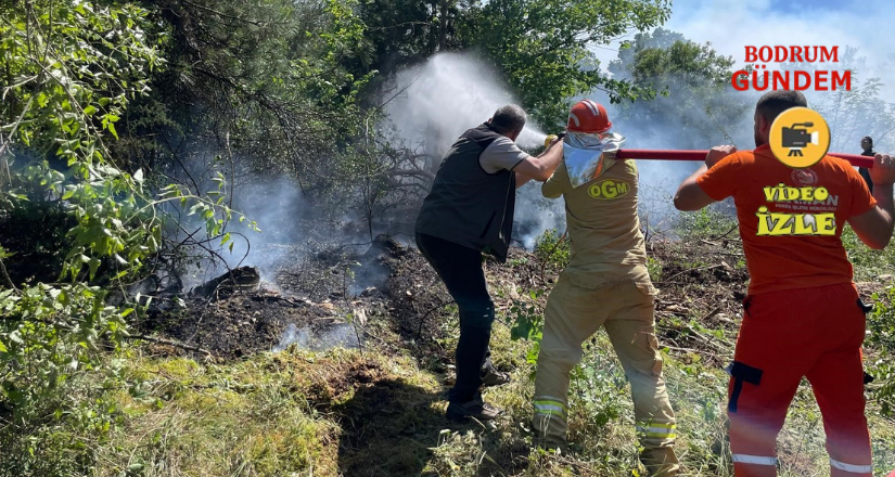 Köyceği̇z’de Orman Yangını Kontrol Altına Alındı