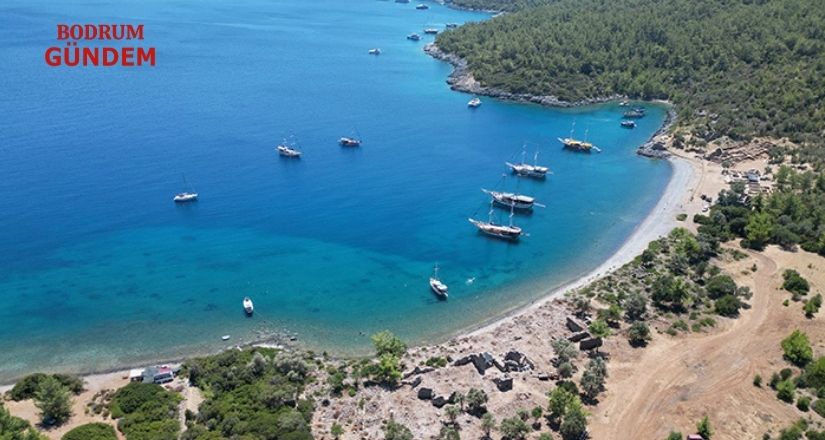 Ormanların Deniz Tarafındaki Kamu Taşınmazları Turizme Açılıyor