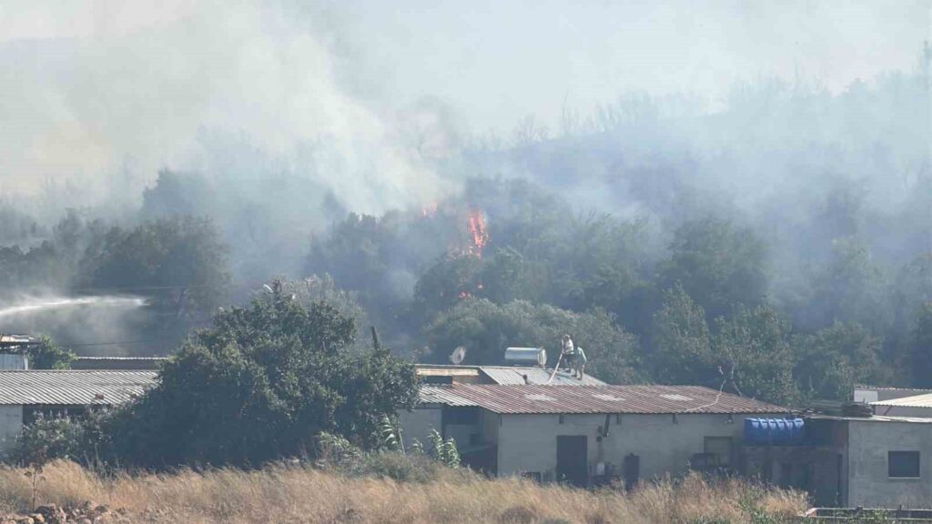 Bodrum’da Yangın Rüzgarın Etkisiyle Büyüdü
