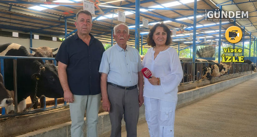İbrahim Tatlıses’in Kurbanlığı Ümmetoğlu Çiftliği’nden