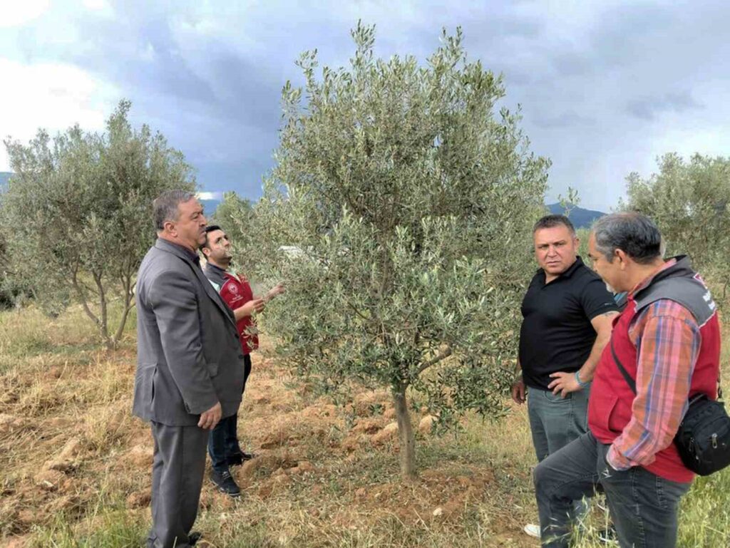 Dolunun Vurduğu Esençayda Hasar Tespi̇ti̇ Yapıldı