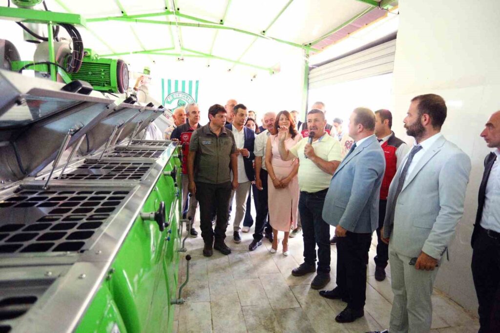 Göktepede Zeyti̇nyağı Etki̇nli̇ği̇