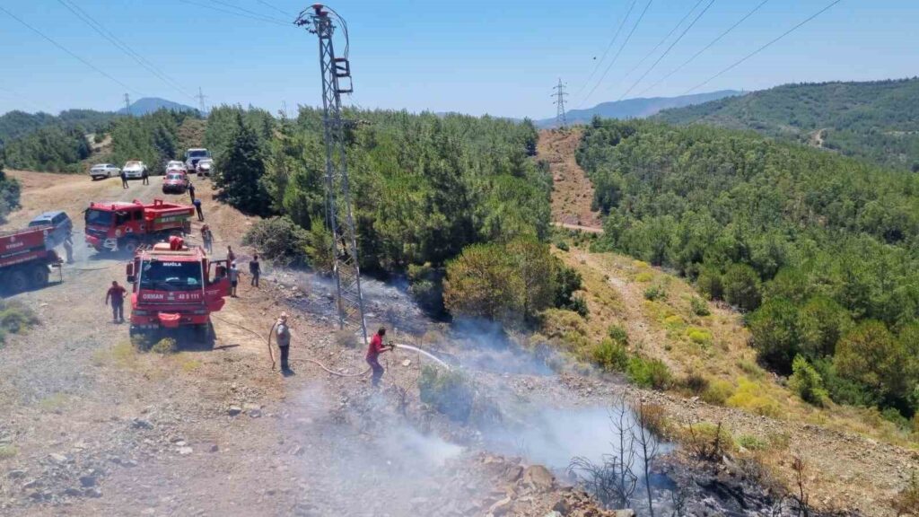 Marmari̇steki̇ Orman Yangını Büyümeden Söndürüldü