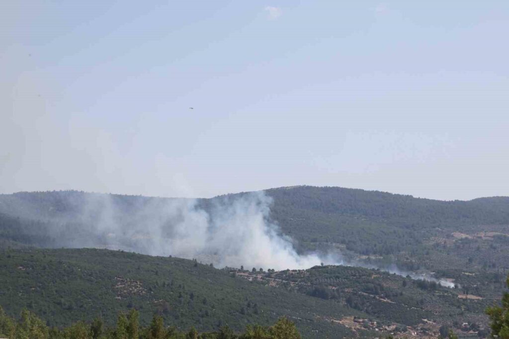 Menteşede Çıkan Yangın Kontrol Altına Alındı