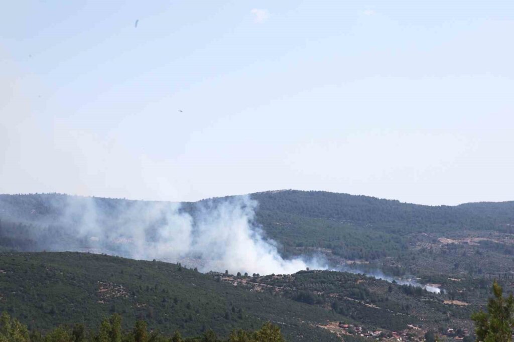 Menteşede Orman Yangını Başladı