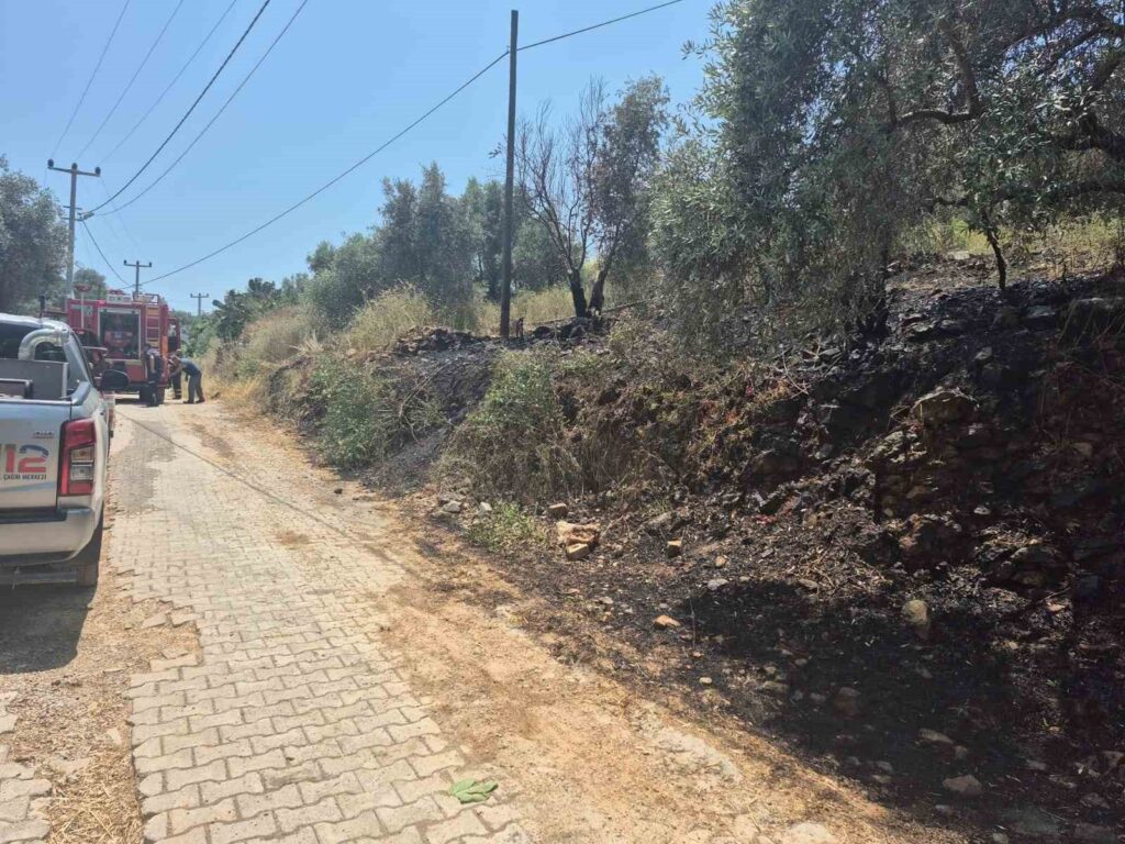 Yol Kenarında Çıkan Yangın Korkuttu