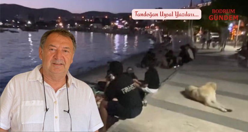 Türk Turizm Yerlerde Sürünüyor: Bodrum’un Kaderi “Market Turizmi” mi Olacak?