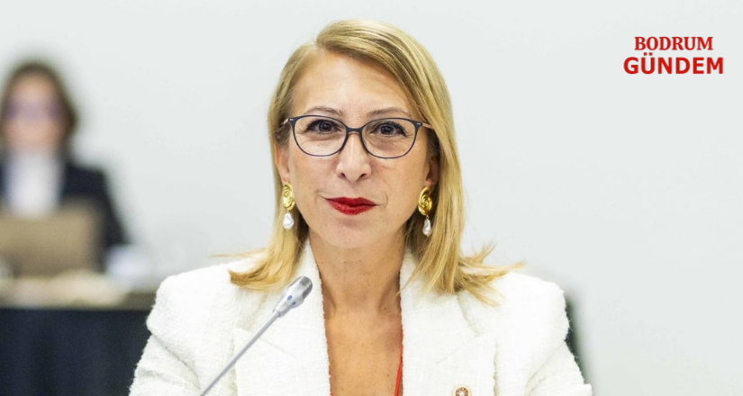 Süreyya Öneş Derici CHP PM Adaylığını Açıkladı