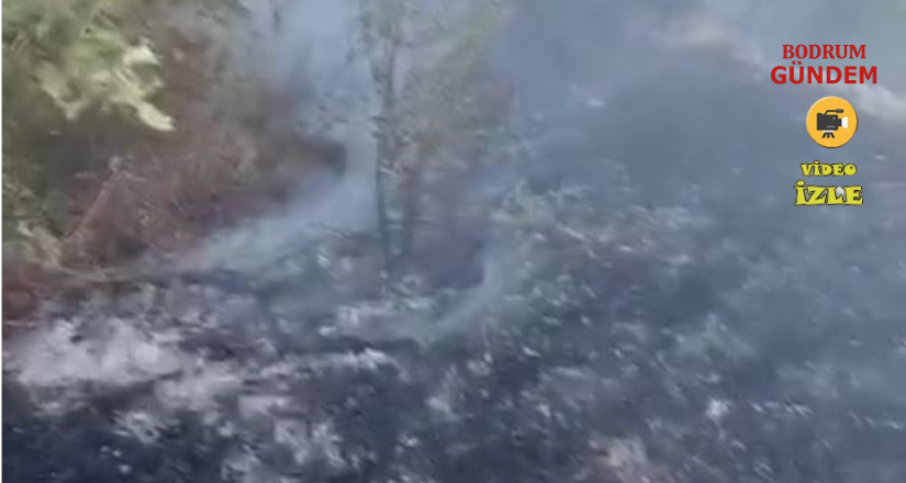 Datça’da kuru ot yangını korkuttu