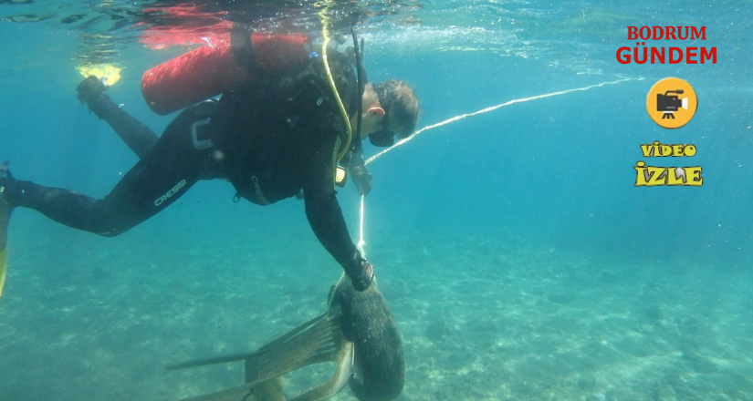 Gündoğan’da Deniz Dibi Temizliği