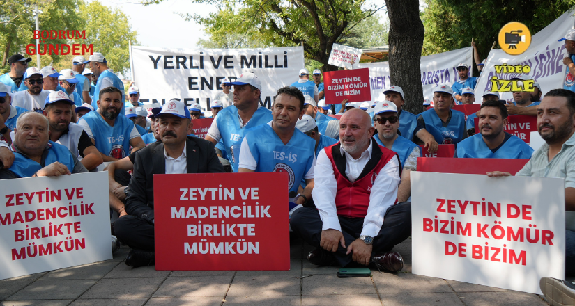 Köylerimiz ve zeytinlerimiz yok olmayacak