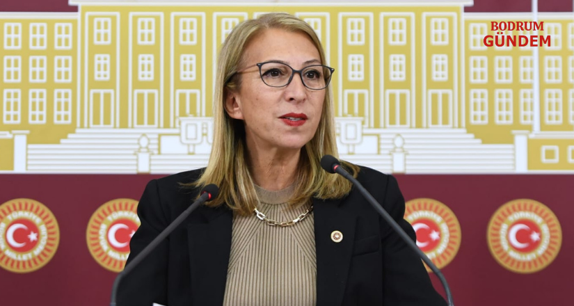 Orman Yangınlarına İlişkin Derhal Etkin Soruşturma Başlatılmalıdır