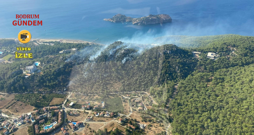 Ortaca Sarıgerme Mahallesi’nde orman yangını