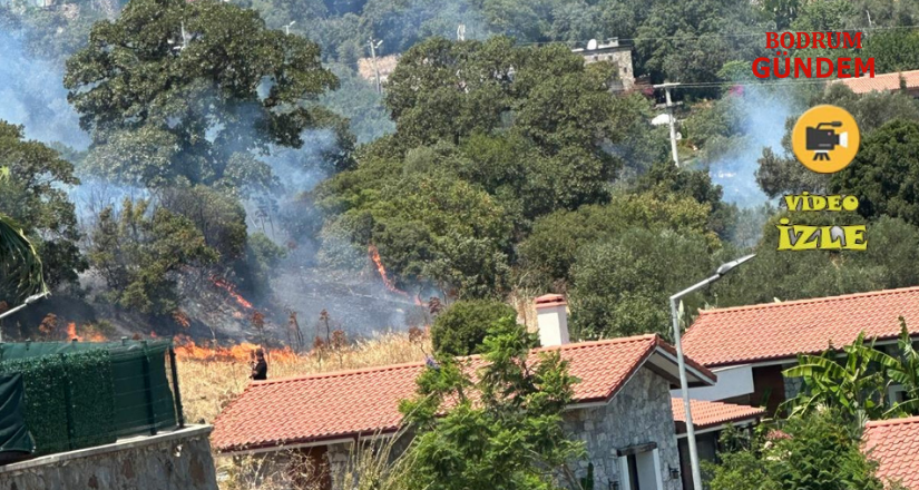 Ortakent’te Yangın Yerleşim Yerine Yakın Noktada Başladı