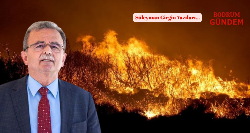 Süleyman Girgin: “Her Yangında Ciğerimizle Birlikte Geleceğimiz de Yanıyor”
