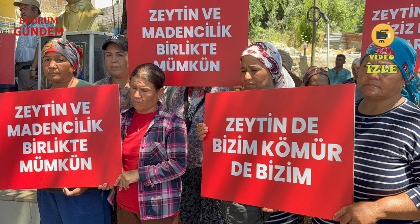 Zeytin ve maden birlikte 40 yıldır mümkündü, şimdi de mümkün