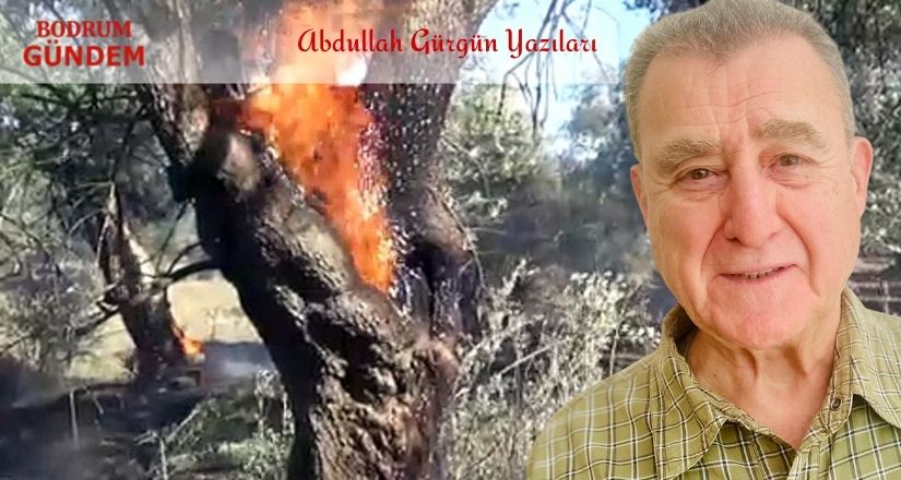 Ohooo bizde onlardan daha çok var – Abdullah Gürgün Yazıları