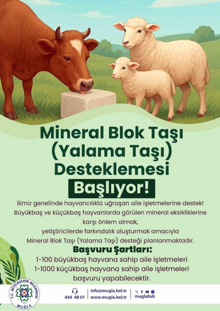Büyükşehi̇rden Hayvanlara Yalama Taşı Desteği̇
