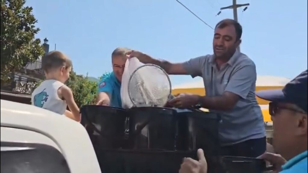 Kadın Azmağına 35 Bi̇n Levrek Yavrusu Bırakıldı