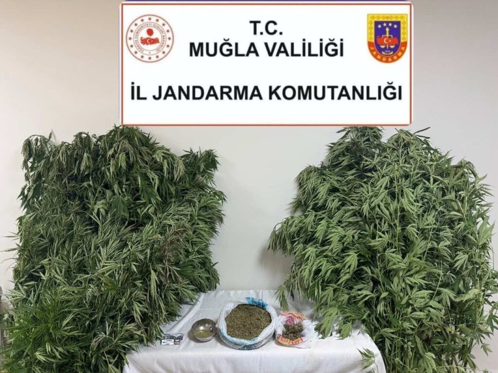 Uyuşturucu Operasyonunda 1 Gözaltı