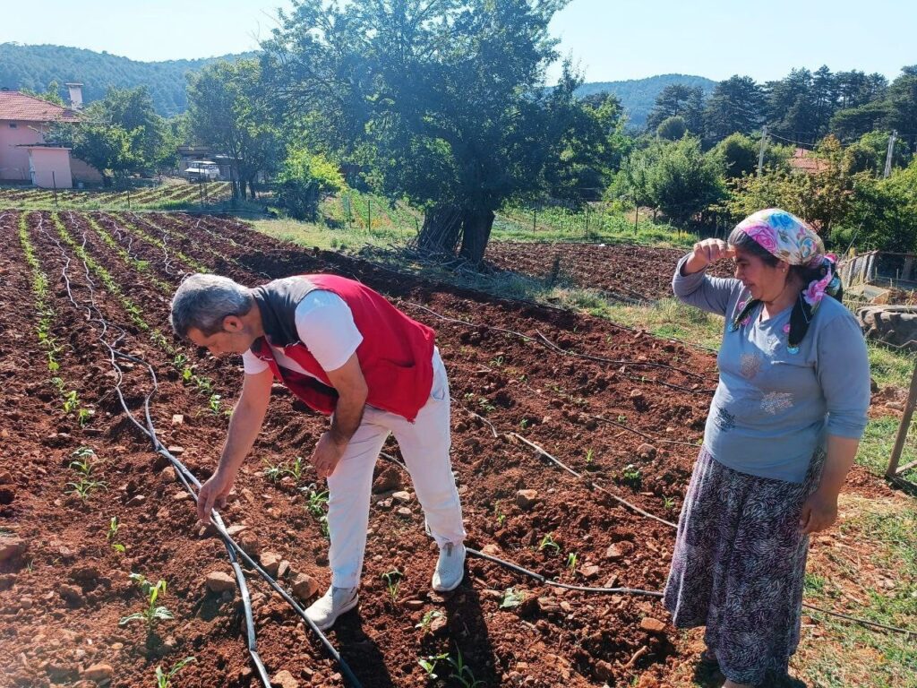 Menteşede Tarım Eki̇pleri̇nden Ürün Kontrolü Ve Çi̇ftçi̇ Zi̇yareti̇ Gerçekleşti̇ri̇ldi̇