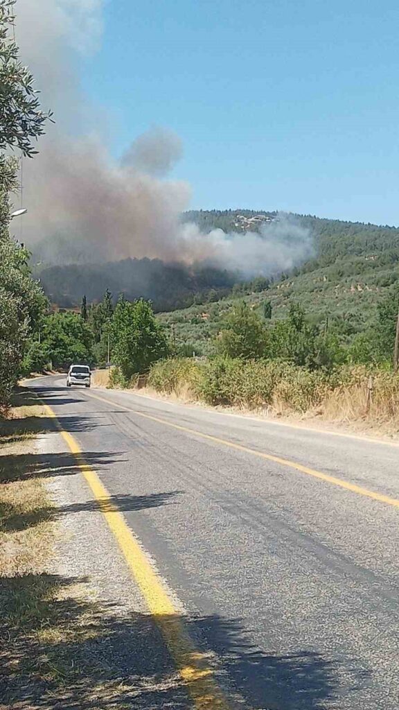 Muğlada Orman Yangını