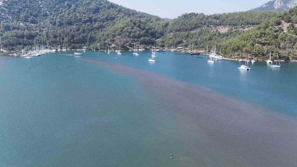 Yerli̇ Ve Yabancı Turi̇sti̇n Gözdesi̇: Kızkumu Plajı