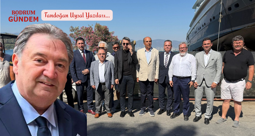 Çözümün Adı Ayaydın