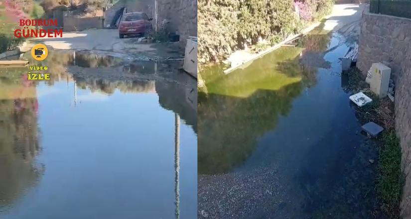 1 Yıldır Başvurmadığımız Yer Kalmadı, Hâlâ Su Akıyor