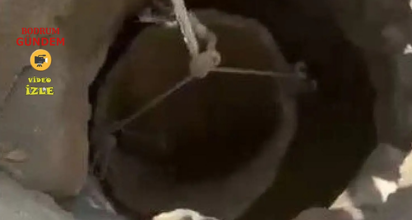 10 Metrelik Kuyuda Mahsur Kalan Kedi Kurtarıldı