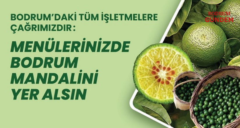 BODTO; “Menülerinizde Bodrum Mandalini Yer Alsın”