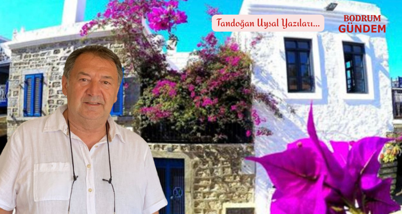 Bodrum Evi Nedir, Ne Değildir?