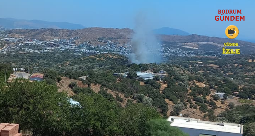 Bodrum Yakaköy’de Yangın