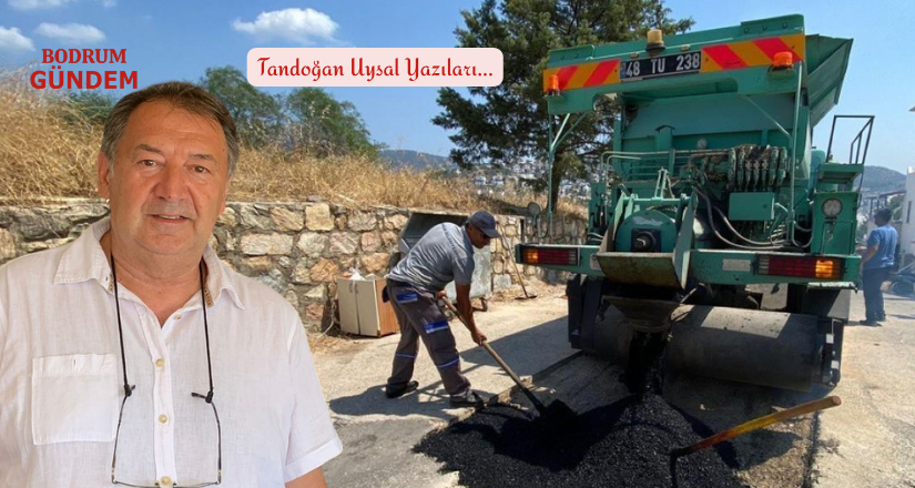 Bodrum’un Sessiz Emekçilerine: Alnınızdan Öpüyorum