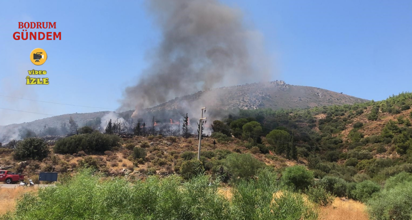 Datça’da makilik yangını