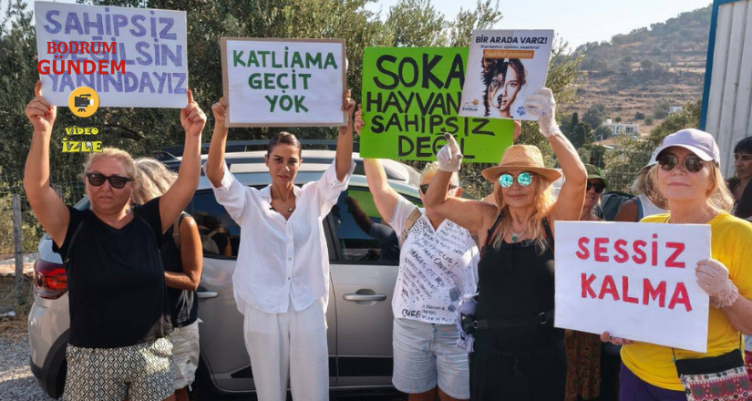 Gümüşlük Forumu’ndan Bodrum Belediyesi’ne Çağrı: “Tamam Değil, Devam!”