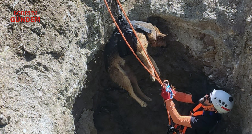 Kuyuya düşen köpek MAG-AME ekibince kurtarıldı