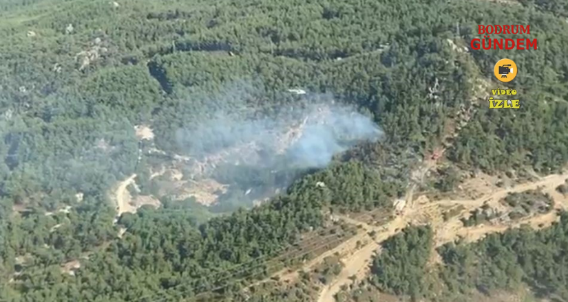 Mi̇las’ta Ormanlık Alanda Yangın