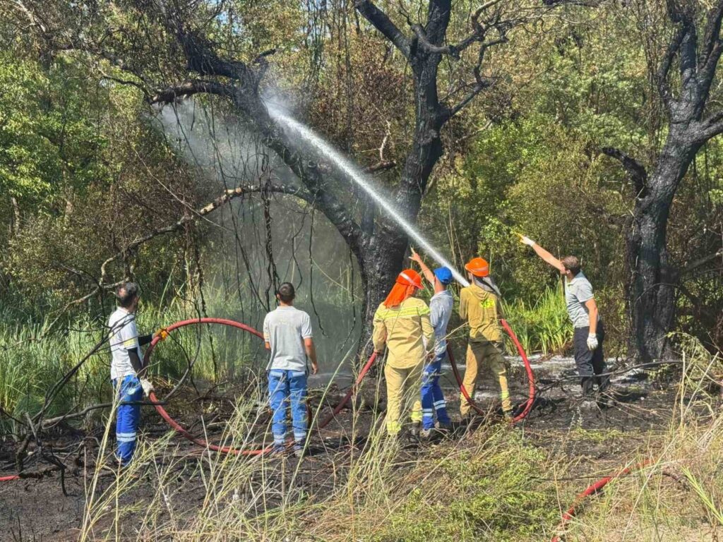 Fethi̇ye Akmaz Plajında Çıkan Yangın Kontrol Altına Alındı