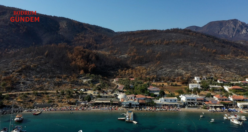 Çökertme’de 30 Ağustos Coşkusu ve Fidan Etkinliği
