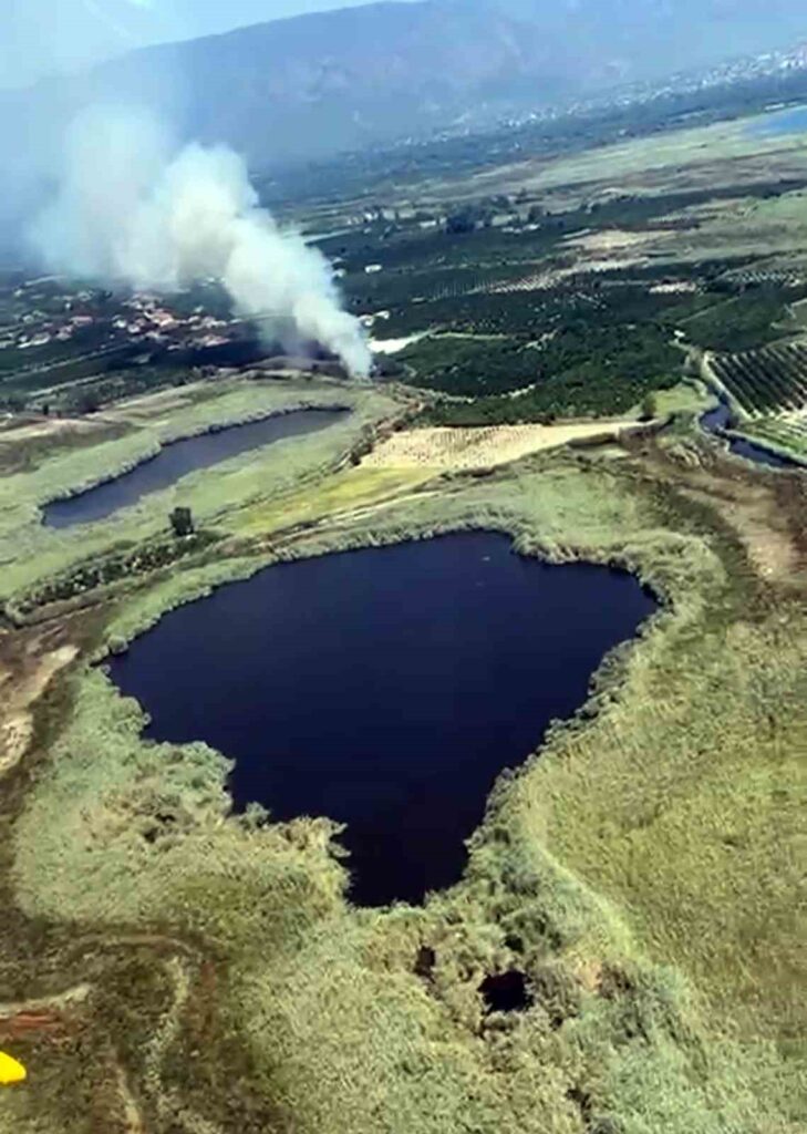 Köyceği̇z Sazlıklarda Yangın