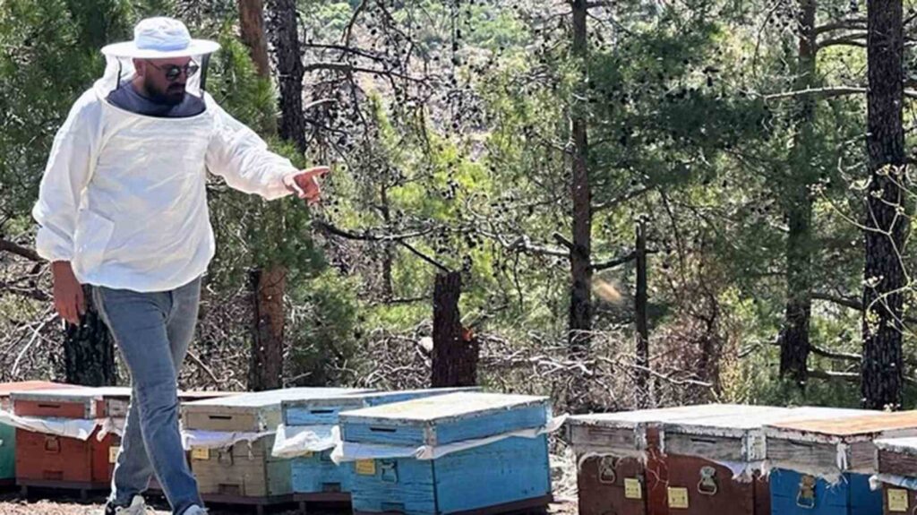 Arılı Kovan Destekleme Tespi̇t Çalışması Yapıldı