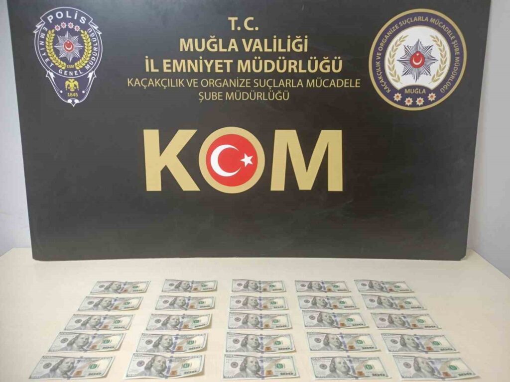 Muğlada Sahte Dolar Operasyonu