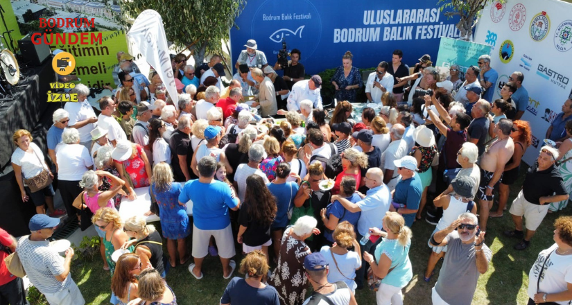 Balık festivalinde binlerce yavru balık denize bırakıldı