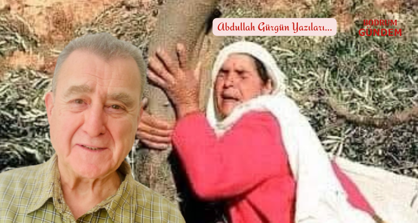 Madenlikleri Zeytincilere Açın