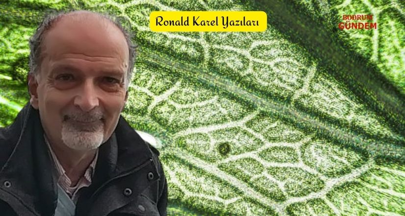 Bitkiler Ve İnsanlar
